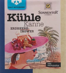 SONNENTOR pot de thé frais pyramides fraise-gingembre BIO