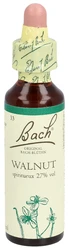 Bach Bachblüten Original Walnut Nummer 33