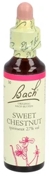 Bach blüten Original Sweet Chestnut Nummer 30