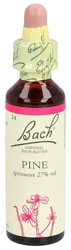 Bach blüten Original Pine Nummer 24