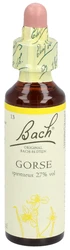 Bach blüten Original Gorse Nummer 13