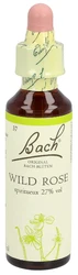Bach Bachblüten Original Wild Rose Nummer 37