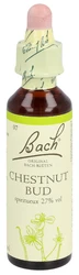 Bach Bachblüten Original Chestnut Bud Nummer 07