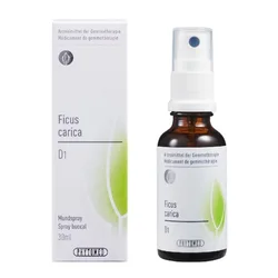 PHYTOMED Ficus carica flüssig 1 D