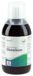 sanasis glutathion liposomal