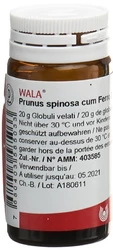 Wala Prunus spinosa ferm c Ferro Globuli 3 D