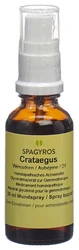 Spagyros Crataegus laevi Glyc Maz 1 D