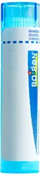Boiron Hepar sulfuris calcareum Granulat 9 CH