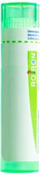 Boiron Ledum palustre Granulat 5 CH
