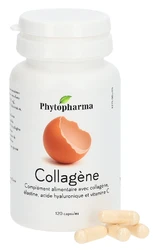 Phytopharma Kollagen Kapsel