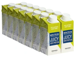 MOLTEIN Juicy High Protein Apfel