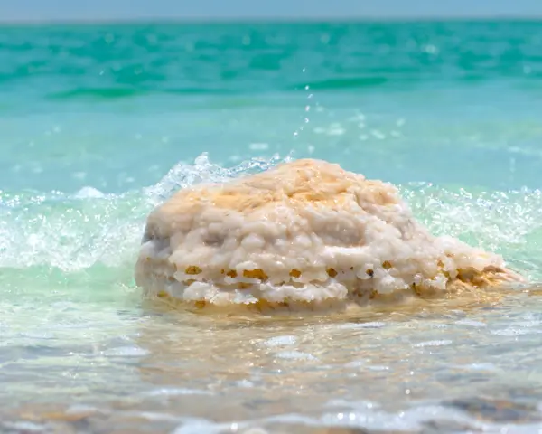 Dead Sea Salt