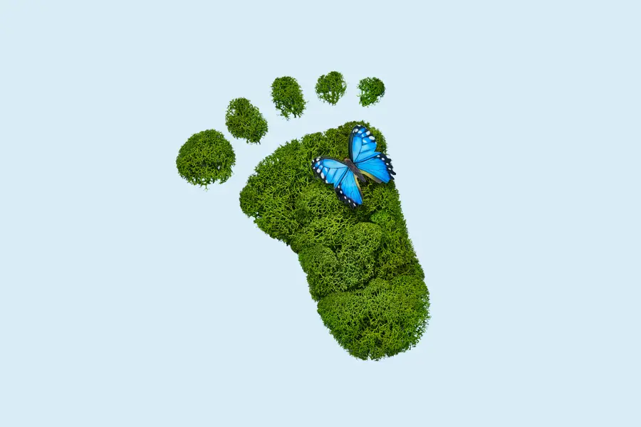 10 façons de rendre vos habitudes quotidiennes plus respectueuses de l'environnement
