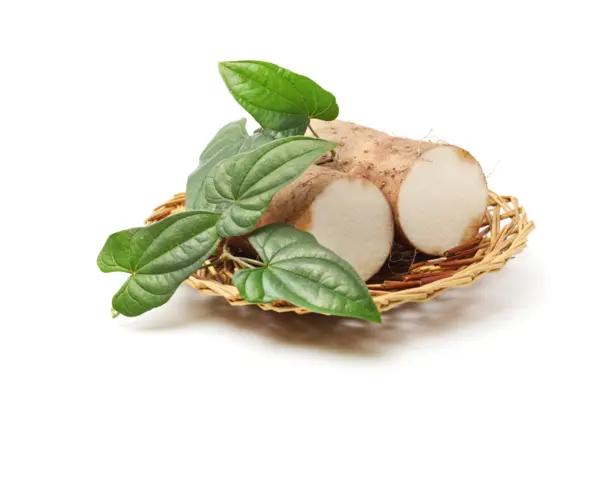 Wild Yam