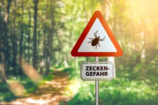 Zecken
