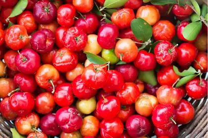 Acerola
