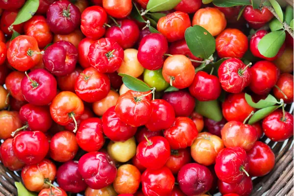 Acerola