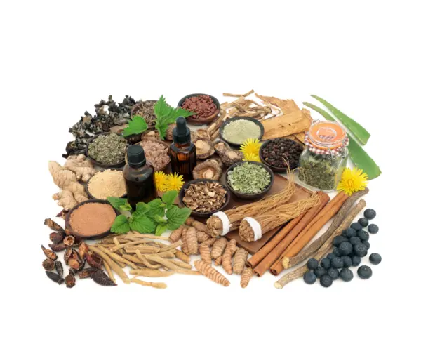 Adaptogens