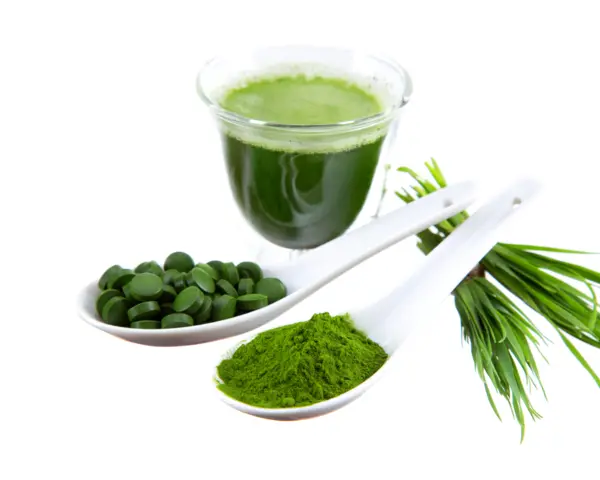 Chlorella