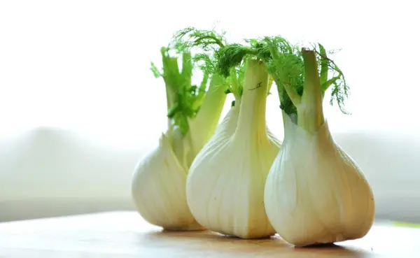 Finocchio