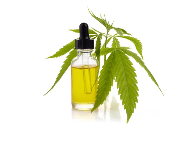 Hemp seed oil 