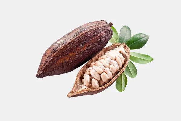 Cacao