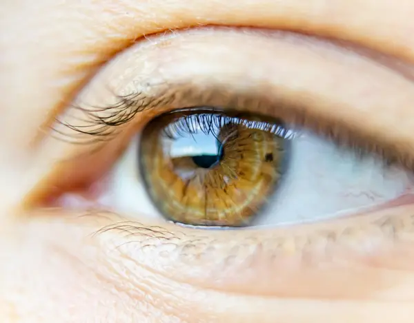 Gocce oculari